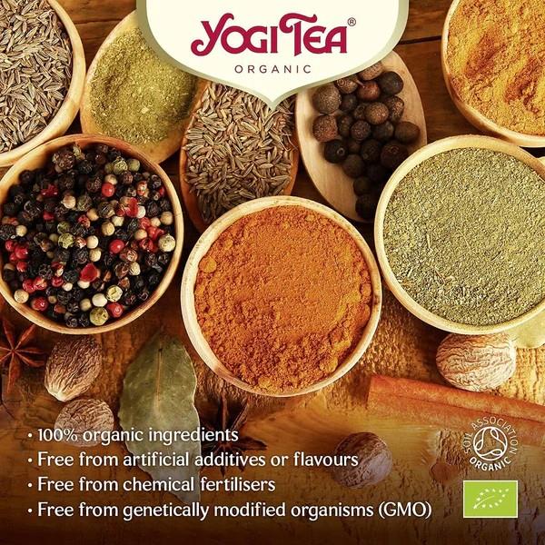 Organic Christmas Tea 17bag