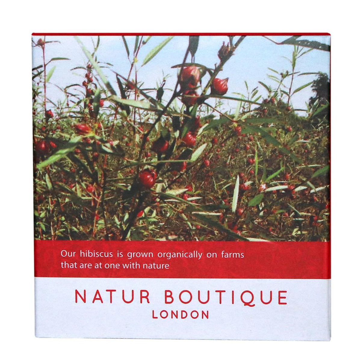 Organic Hibiscus Tea 20 Sachets