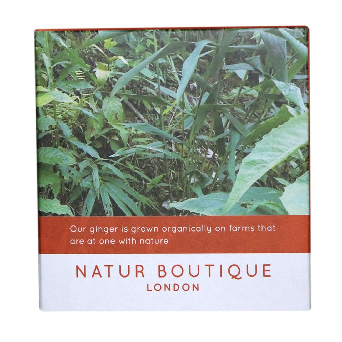 Organic Ginger Tea 20 Sachets