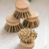 Reusable Bamboo Dish Brush Head (Firm Bristles)