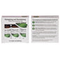 Energising and Revitalising Essential Oil Set 3x10ml