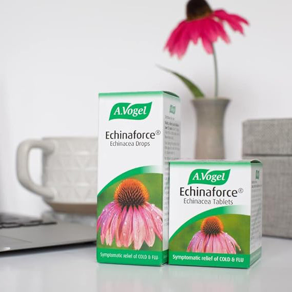 Echinaforce Chewable 40 Tabs - A. Vogel - Herbal Supplements - Eco Natural Products