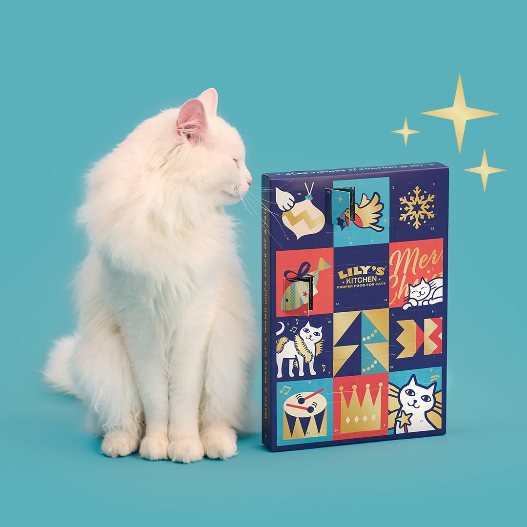 Cat Christmas Advent Calendar 24 Servings