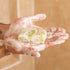 Solid Shower Gel: Lime & Sandalwood 100g