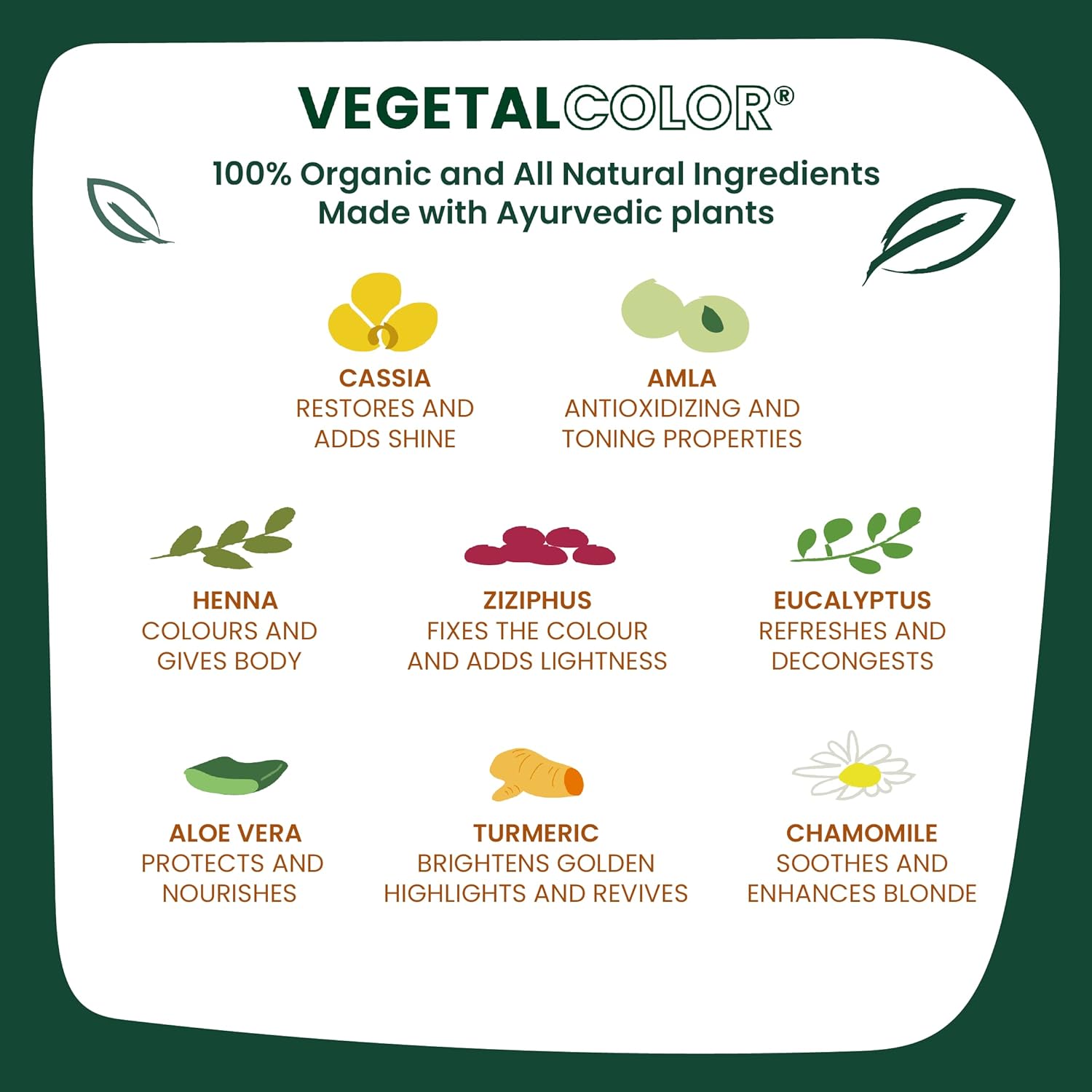 Organic Neutral Cassia Power Vegetal Colour 100g