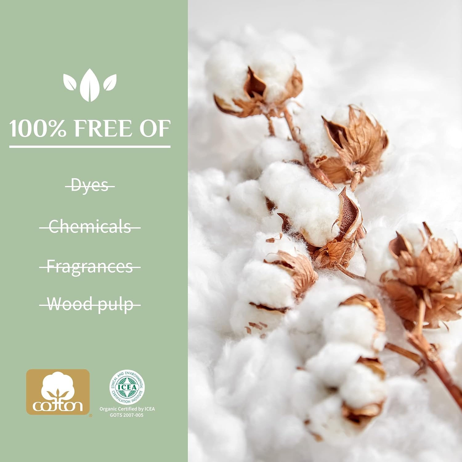 100% Biodegradable Cotton Buds 200pcs
