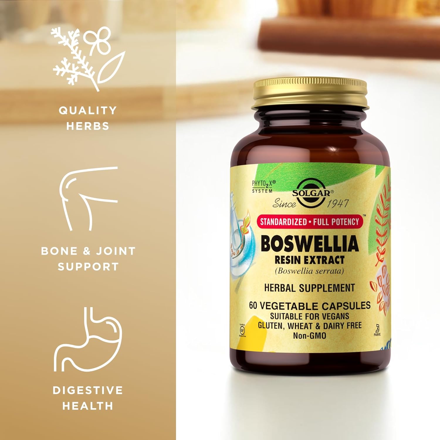 Boswellia Resin Extract - 60 Vegetable Capsules