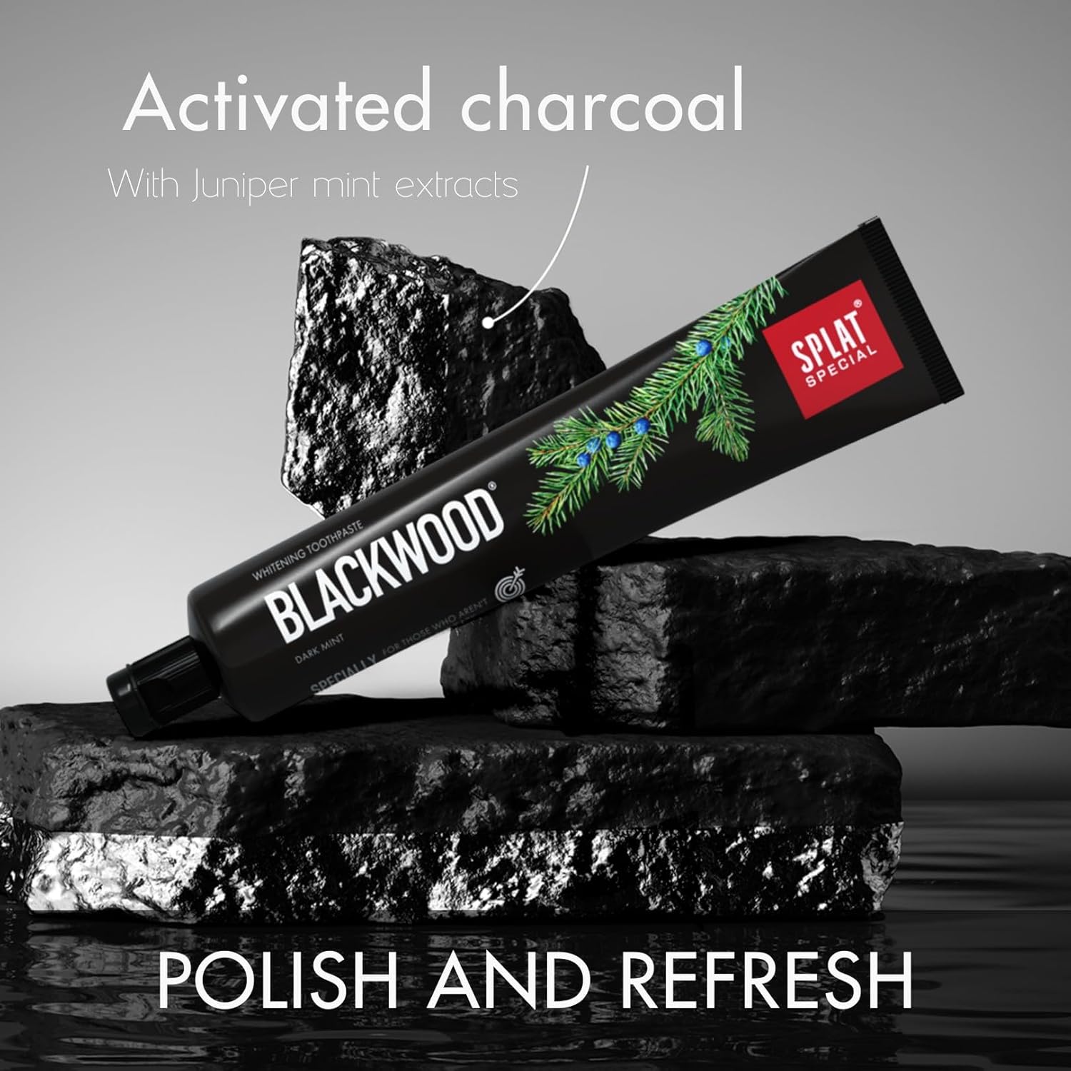 Special Blackwood Whitening Toothpaste 75ml