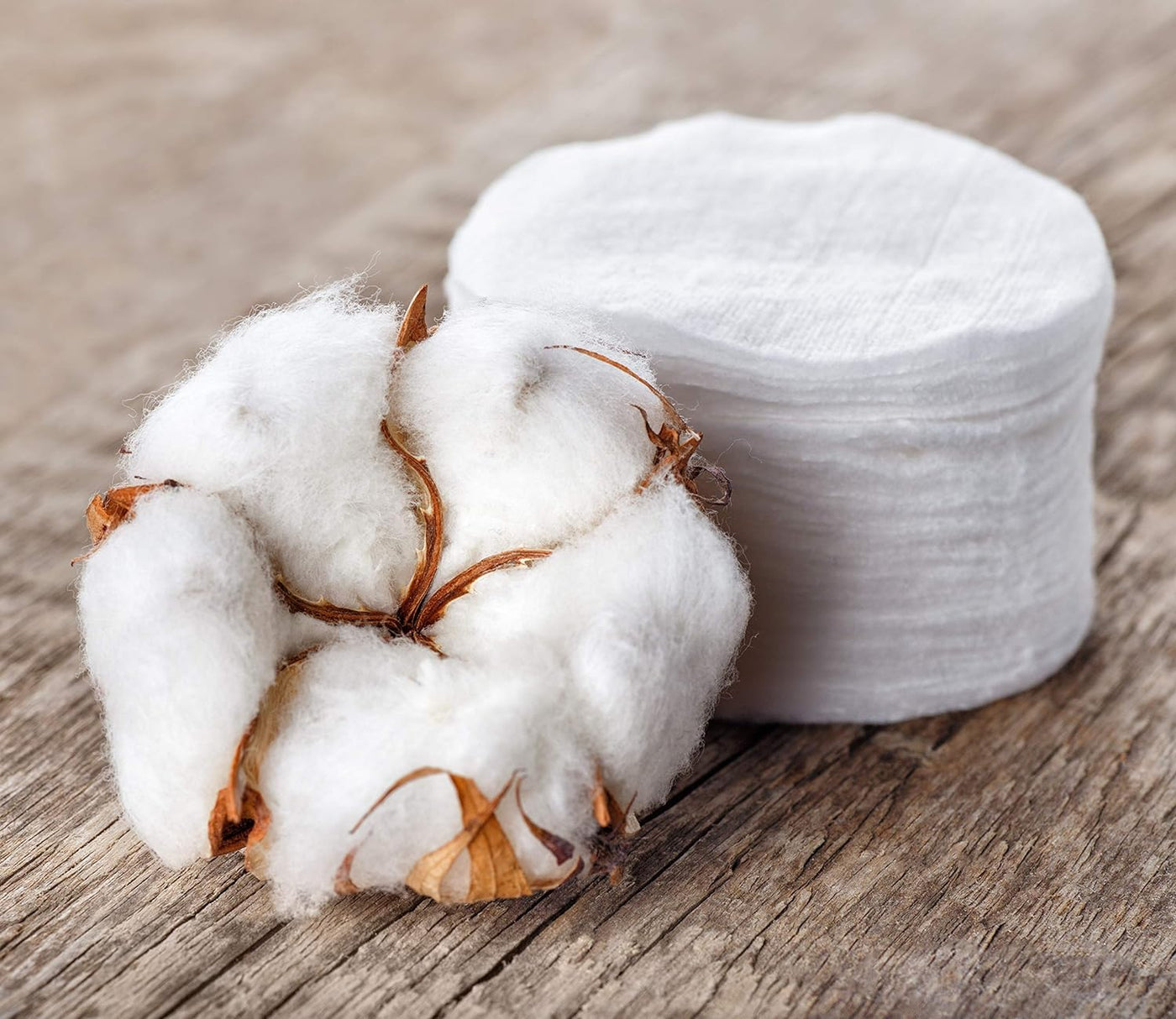 Is Cotton Wool Biodegradable? 