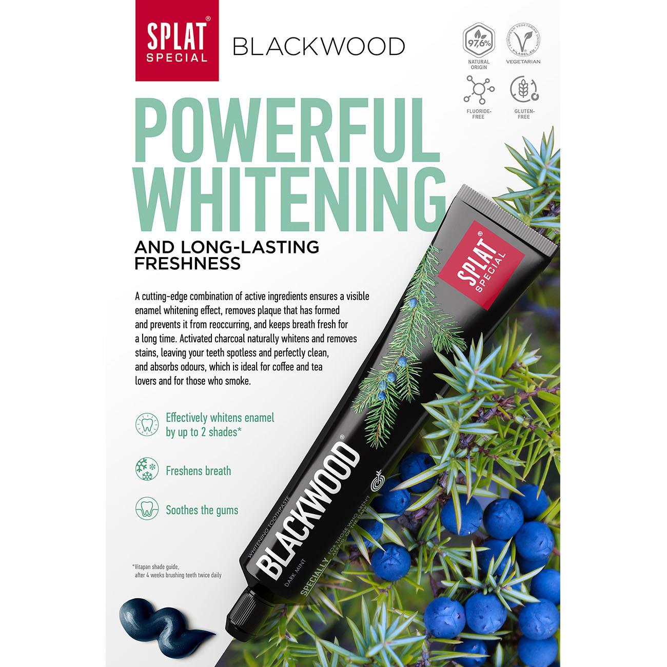 Special Blackwood Whitening Toothpaste 75ml