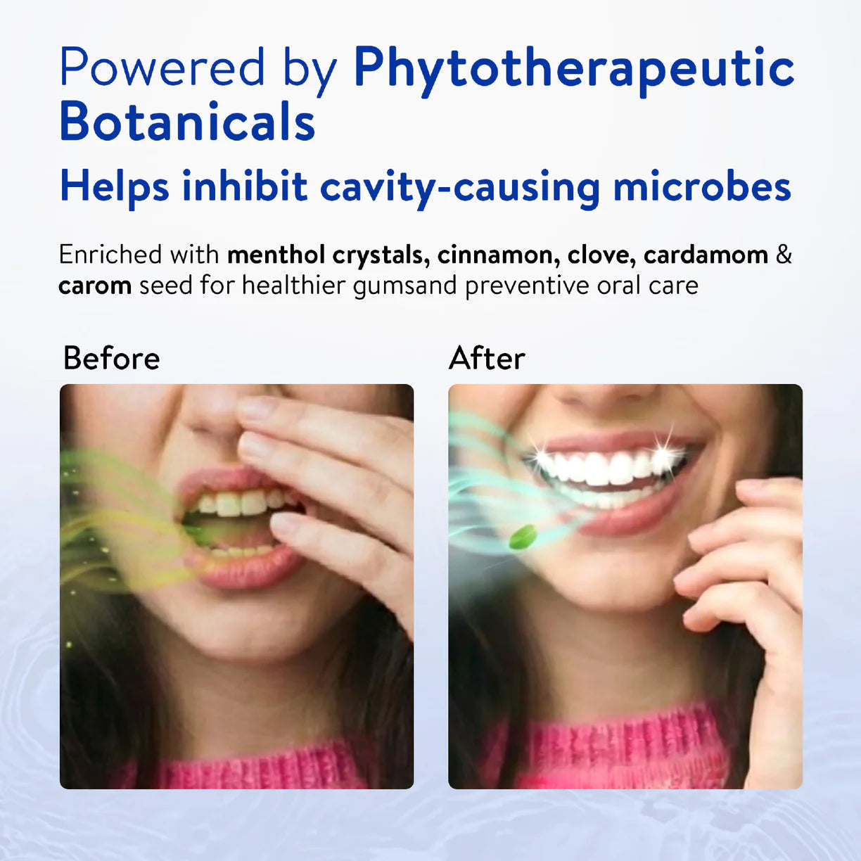 Ayouthveda Ayurvedic Mint Gel Toothpaste 100g powered by Phytotherapeutic Botanicals