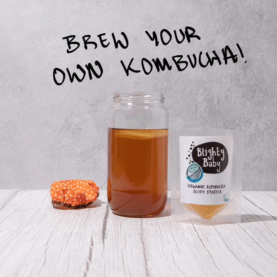 Organic Kombucha Scoby Starter 75ml