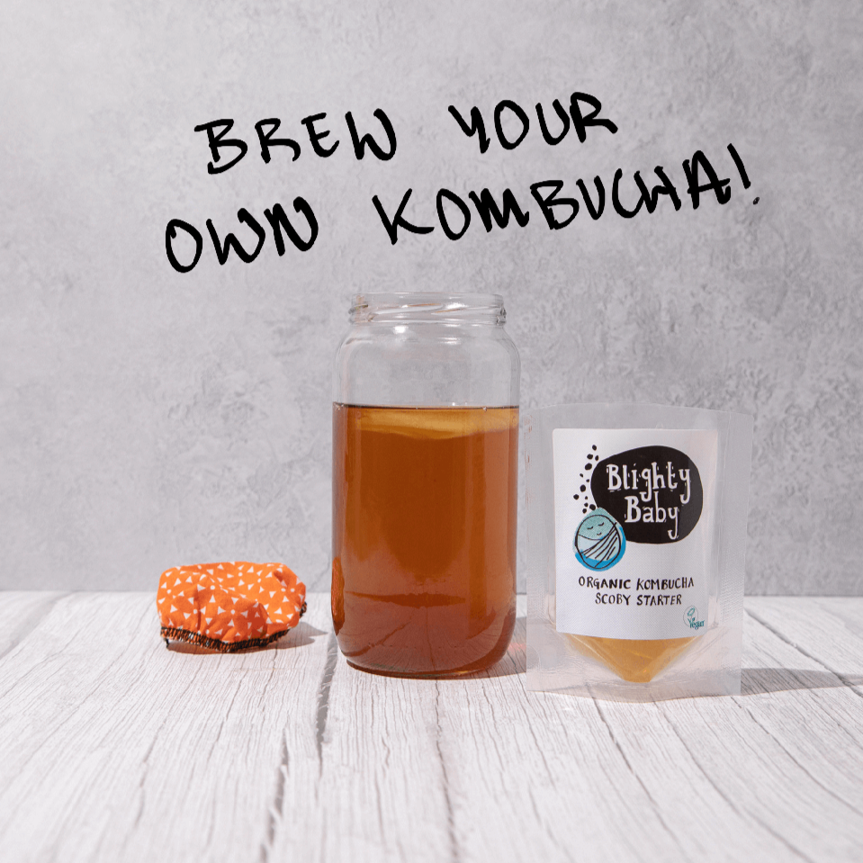 Organic Kombucha Scoby Starter 500ml