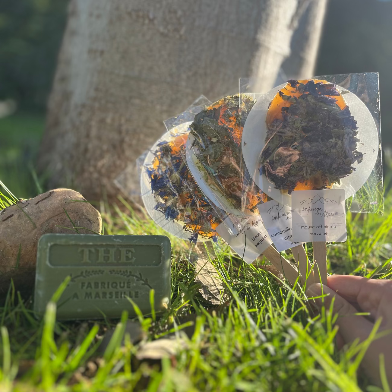 French Marseille Soap The (Tea) 125g lifestyle image