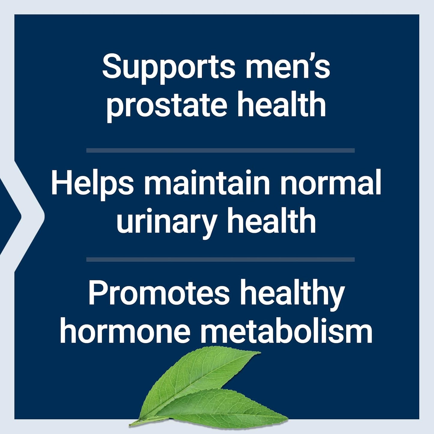Life Extension PalmettoGuard Saw Palmetto & Nettle Root with Beta-Sitosterol 60 Softgels benefits
