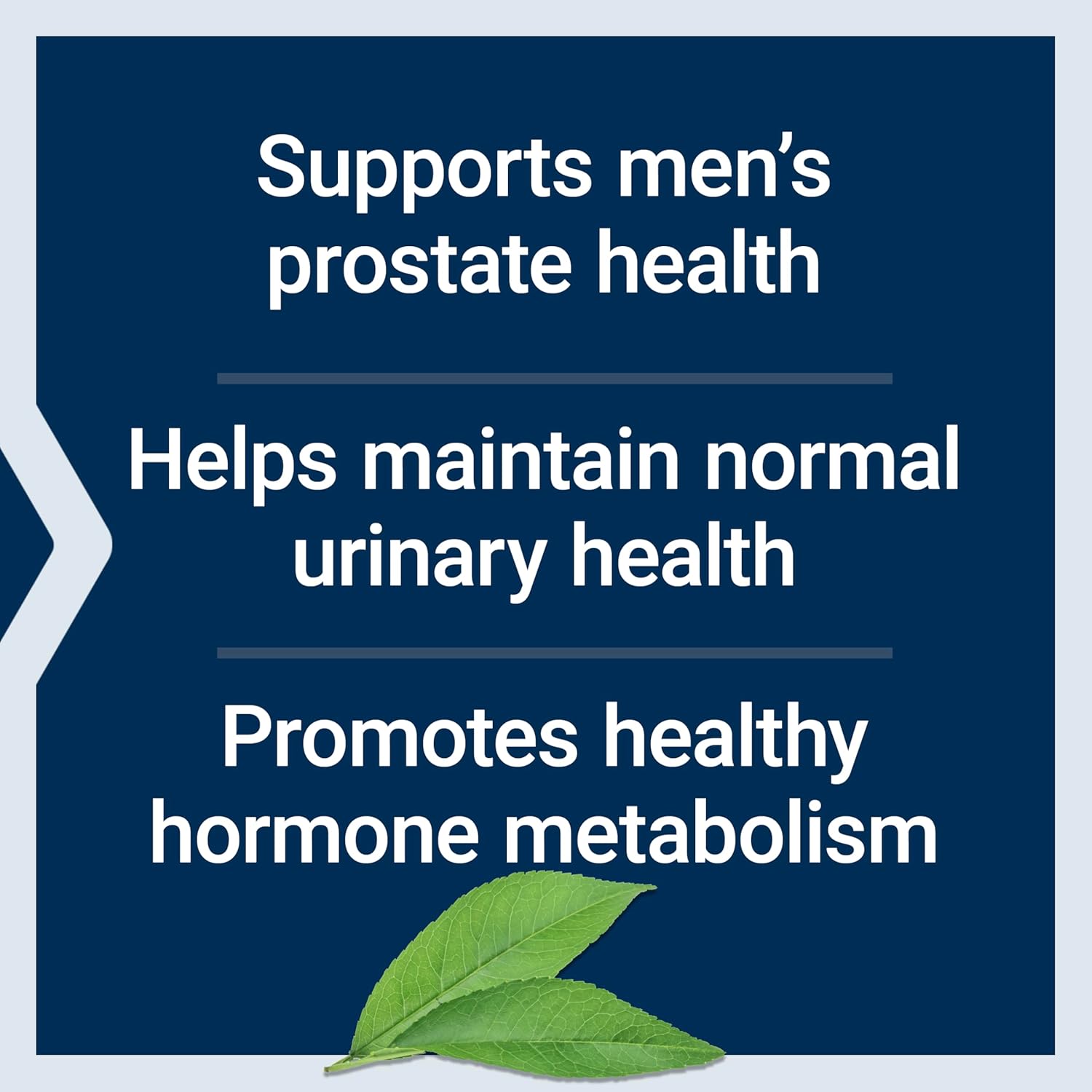 Life Extension PalmettoGuard Saw Palmetto & Nettle Root with Beta-Sitosterol 60 Softgels benefits