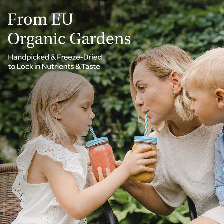 Loov Organic Freeze-Dried Raspberry Powder 171g from eu organic gardens