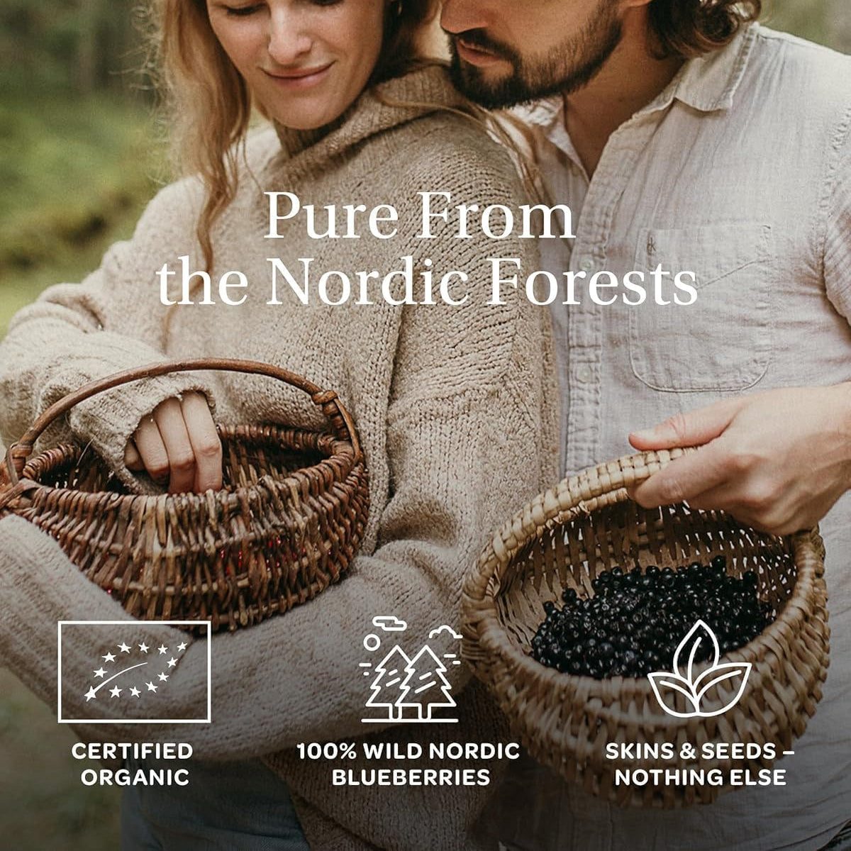 Loov Organic Wild Blueberry Pomace Powder 100g — freeze-dried Nordic bilberry made from wild blueberry skins and seeds from nordic forests