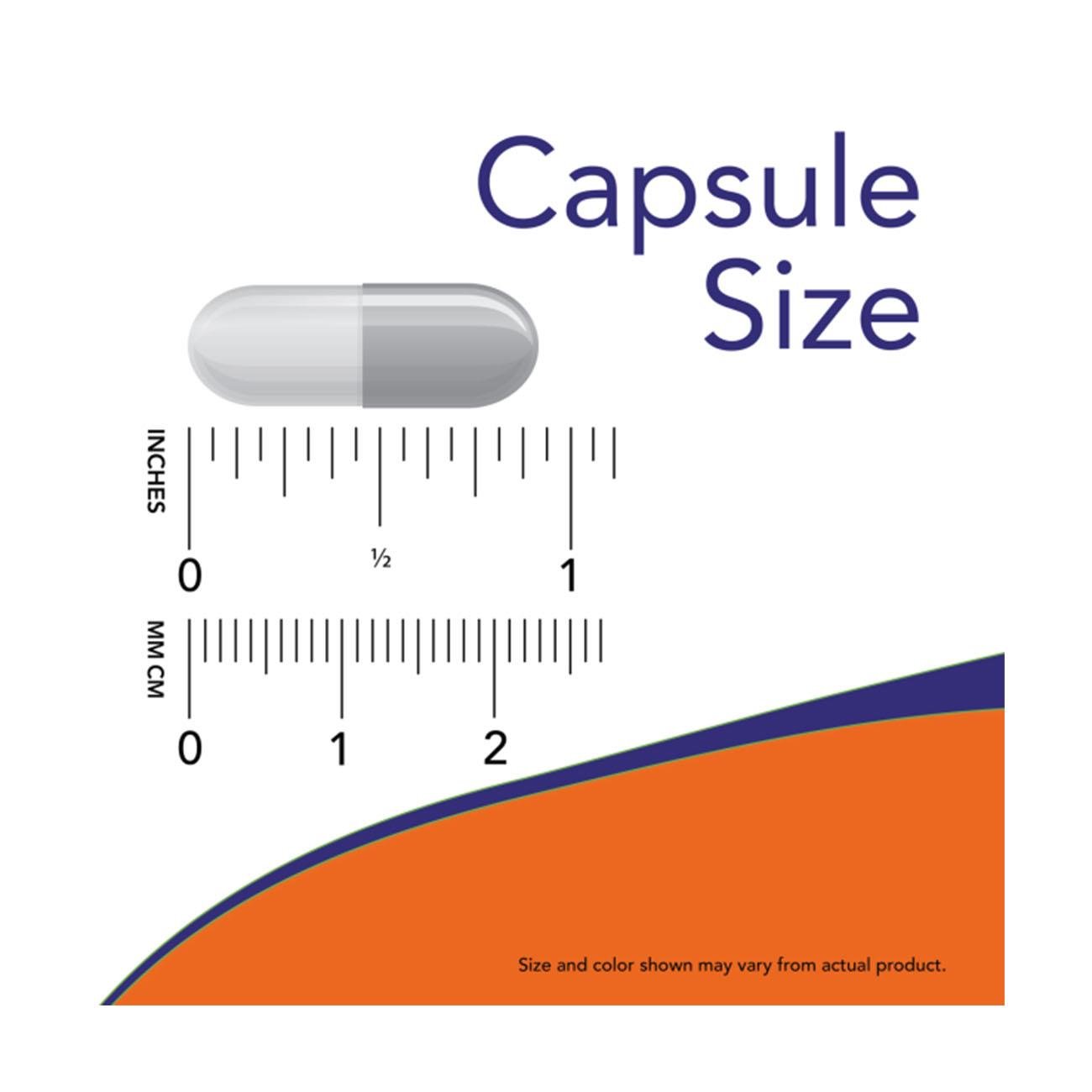 NOW Foods Astragalus 500mg 100 Veg Capsules – Capsule Size