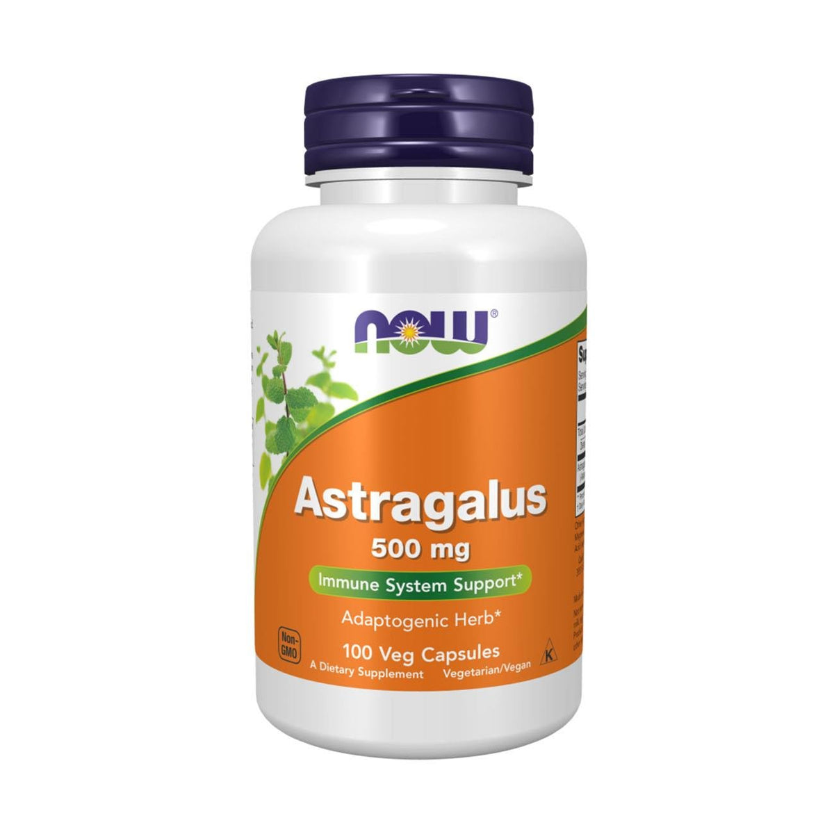 NOW Foods Astragalus 500mg 100 Veg Capsules – Front Label
