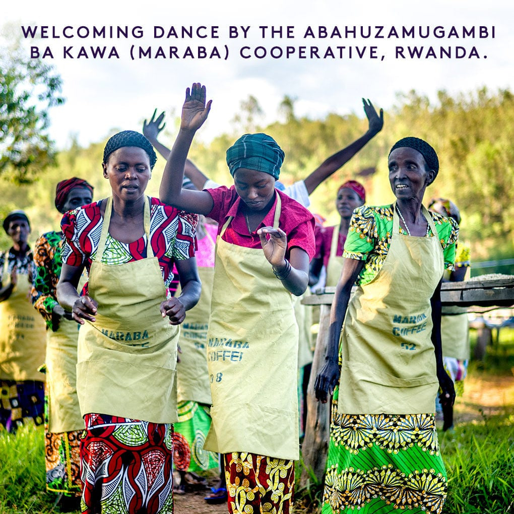 Maraba Rwanda origin — cooperative