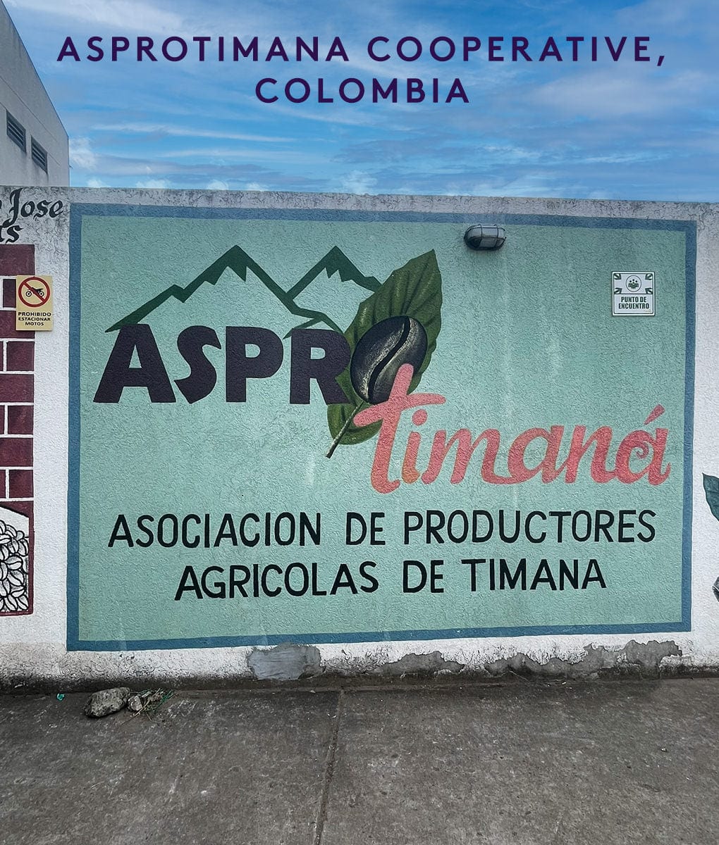 Timana Colombia origin — ASPROTIMANA cooperative