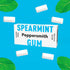 Xylitol English Spearmint Gum 15g