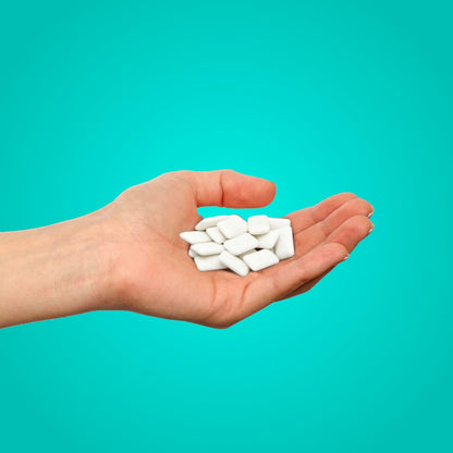 Pur Wintergreen Gum Bag 55 Pieces actual product