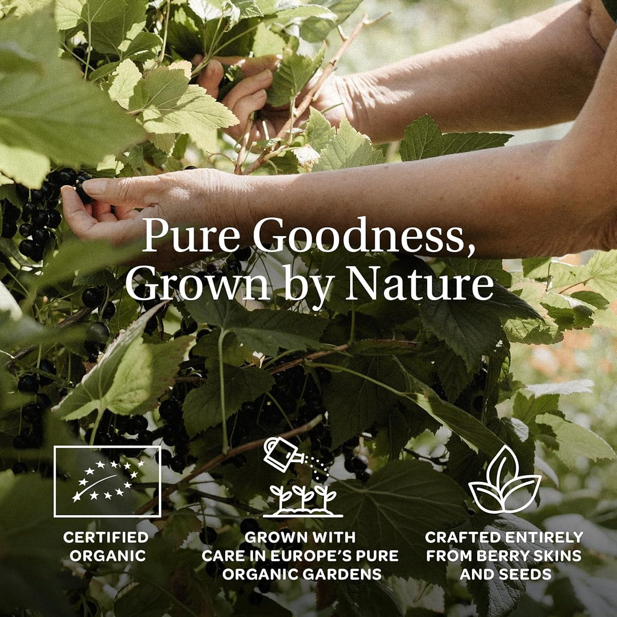Pure Goodness by Nature
