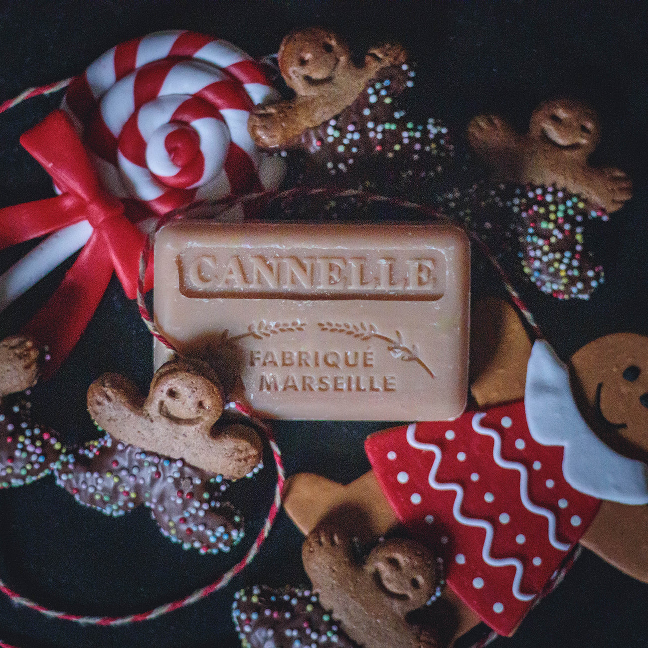 French Marseille Soap Cannelle (Cinnamon) 125g