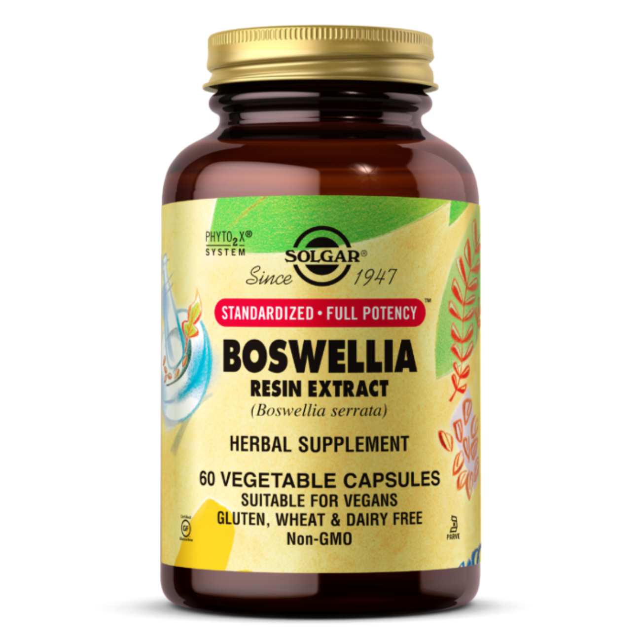 Boswellia Resin Extract - 60 Vegetable Capsules