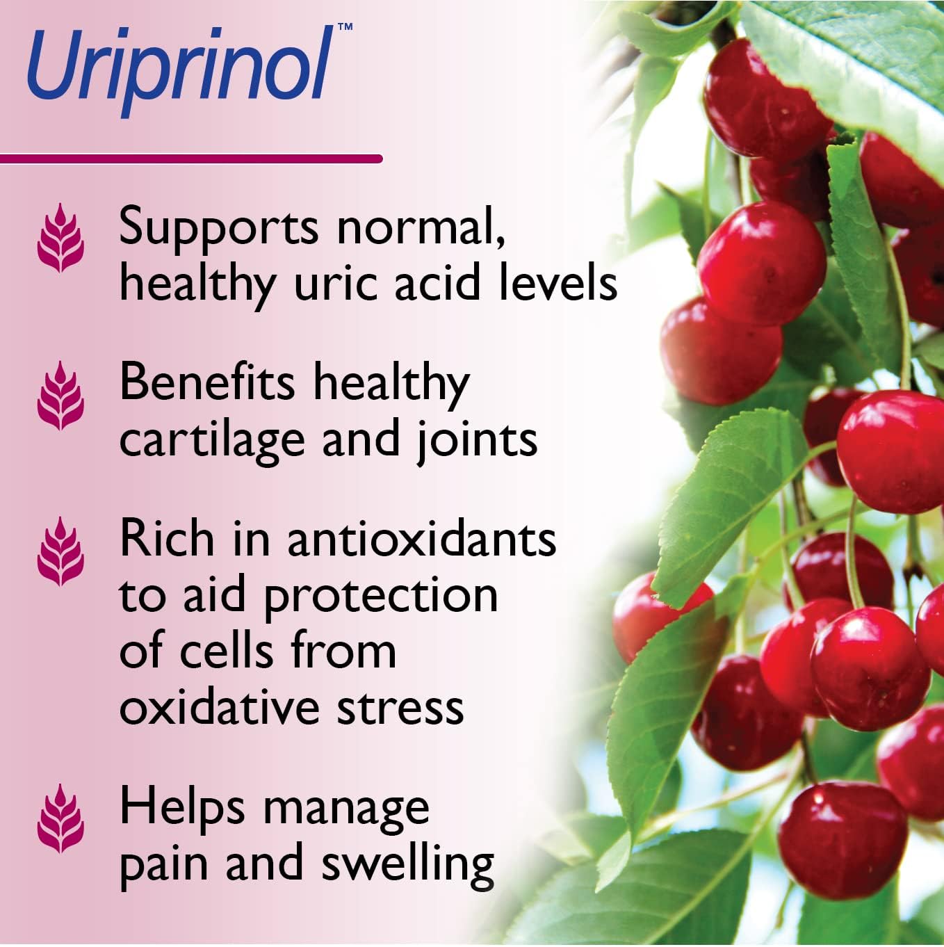 Uriprinol Montmorency Cherry Complex 60's benefits