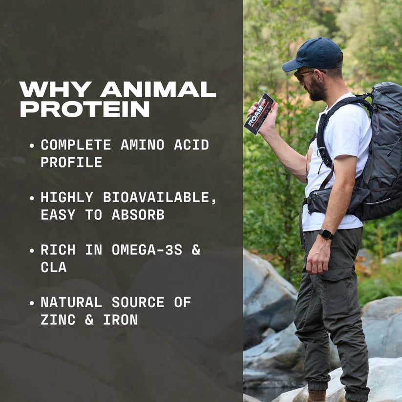 why animal protein