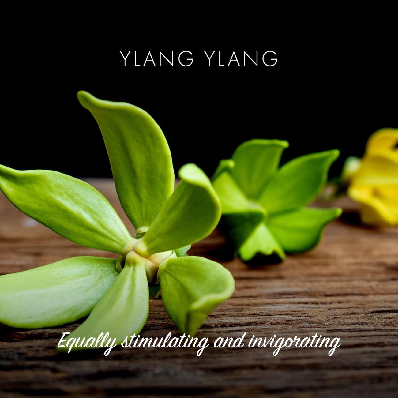 Ylang Ylang Bath Soap 95g