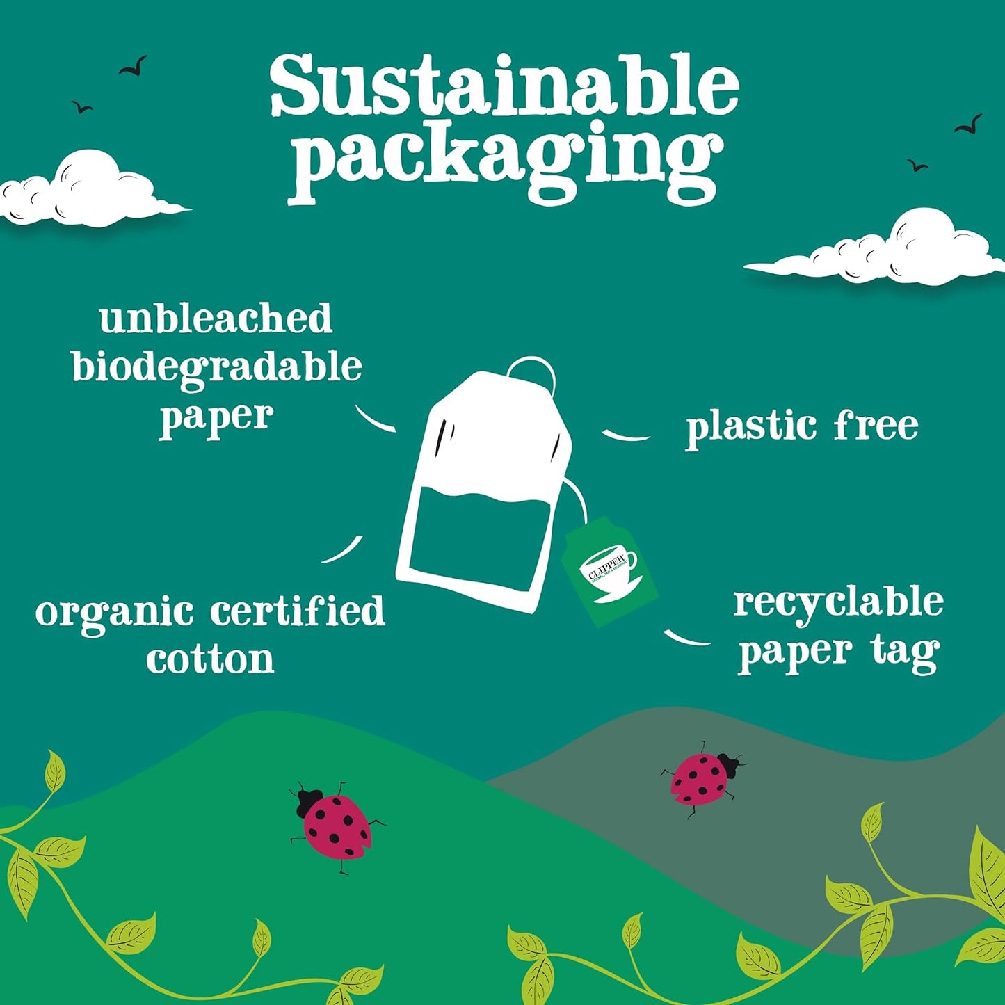 After Dinner Mints, Double Mint Infusion 20 Bags - Clipper - Infusion - Eco Natural Products