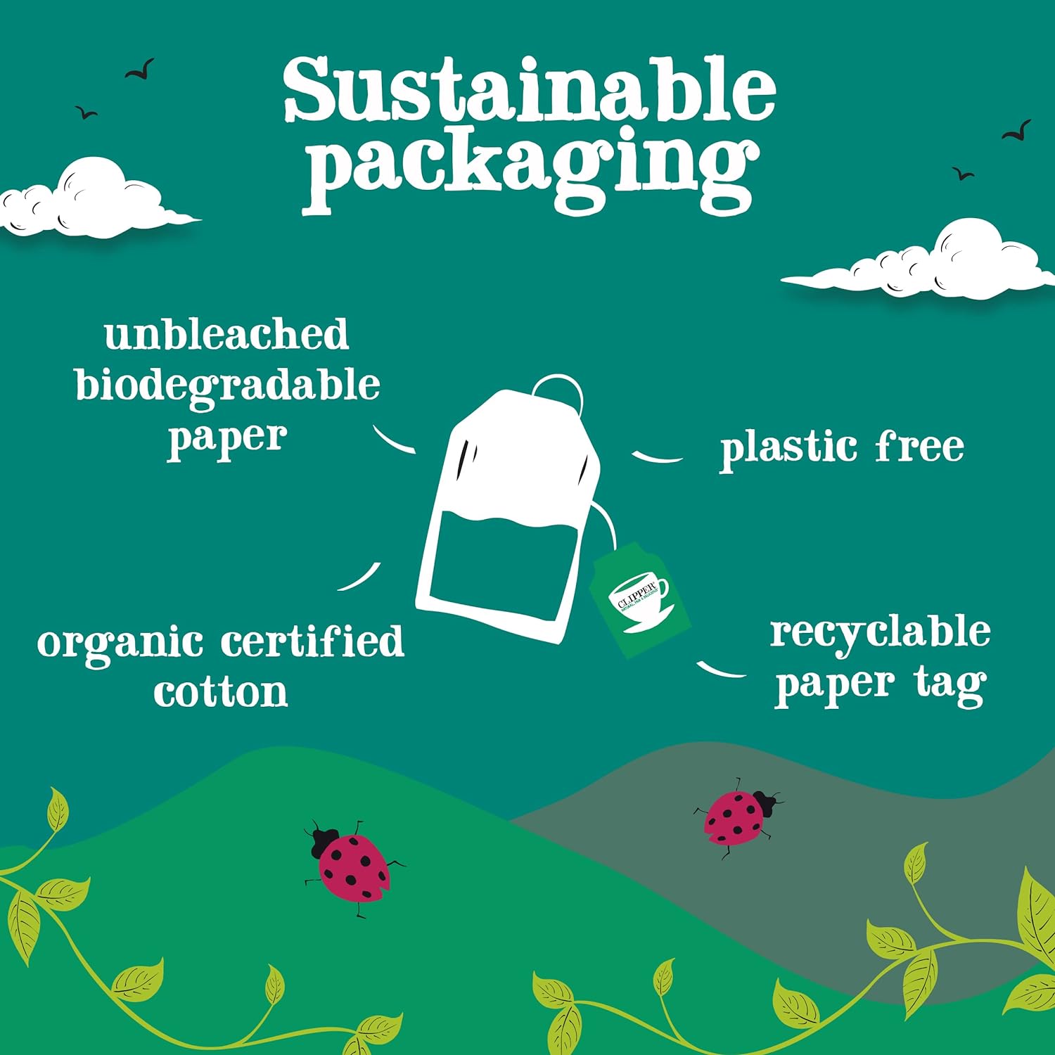 After Dinner Mints, Double Mint Infusion 20 Bags - Clipper - Infusion - Eco Natural Products