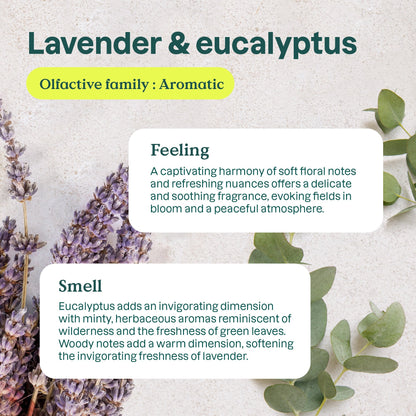 Air Purifier Eucalyptus & Lavender 227g - Attitude - Air Spray - Eco Natural Products