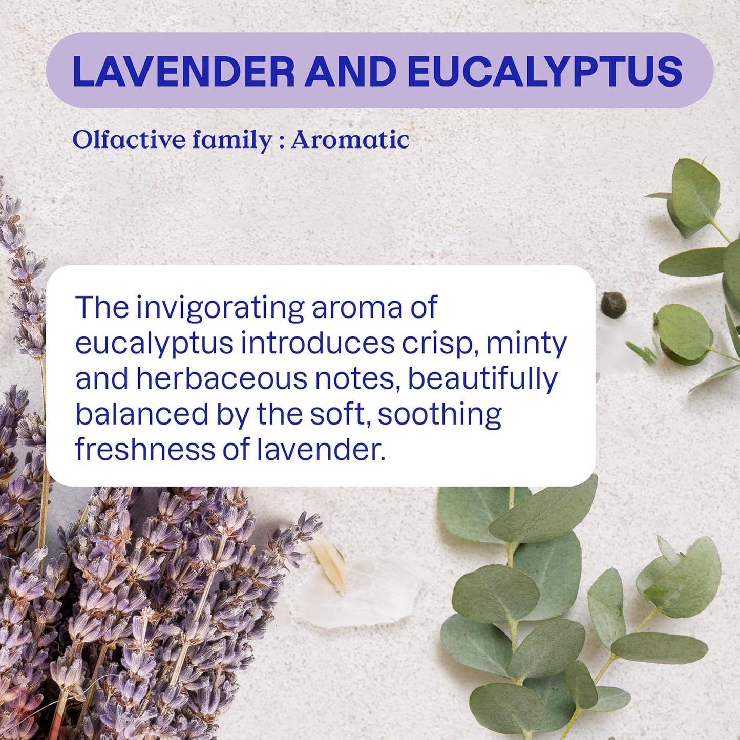 Air Purifier Eucalyptus & Lavender 227g - Attitude - Room Fragrance - Attitude