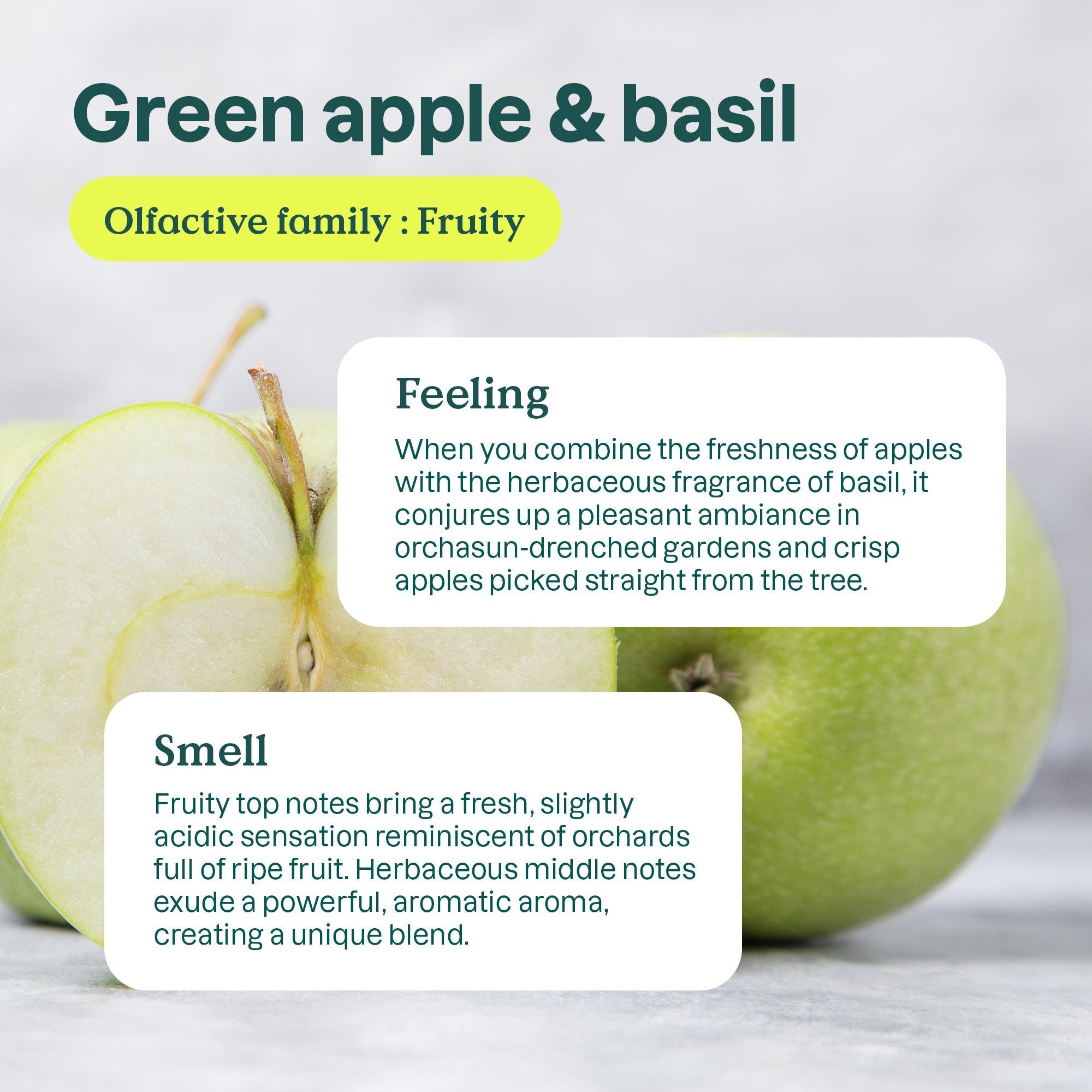 Air Purifier Green Apple & Basil 227g - Eco Natural Products - Attitude - Air Spray