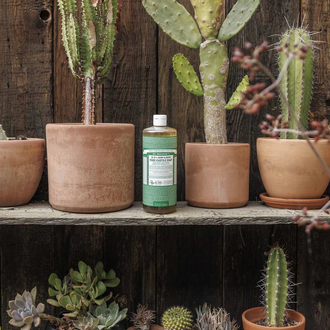 Almond Pure - Castile Liquid Soap 946ml - Dr. Bronner - Liquid Soap - Eco Natural Products