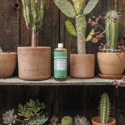 Almond Pure - Castile Liquid Soap 946ml - Dr. Bronner - Liquid Soap - Eco Natural Products