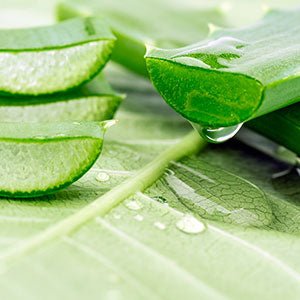 Aloe Vera Face Mask 150ml - Aloe Pura - Face Mask - Eco Natural Products