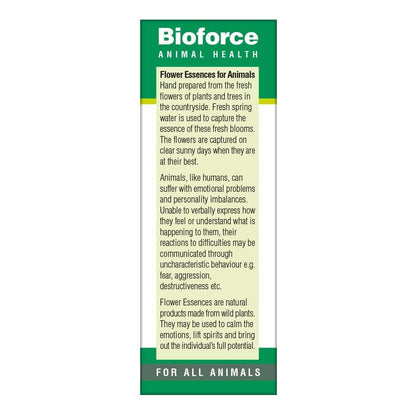 Animal Essence Separation 30ml - BioForce - Animal Essence - Eco Natural Products