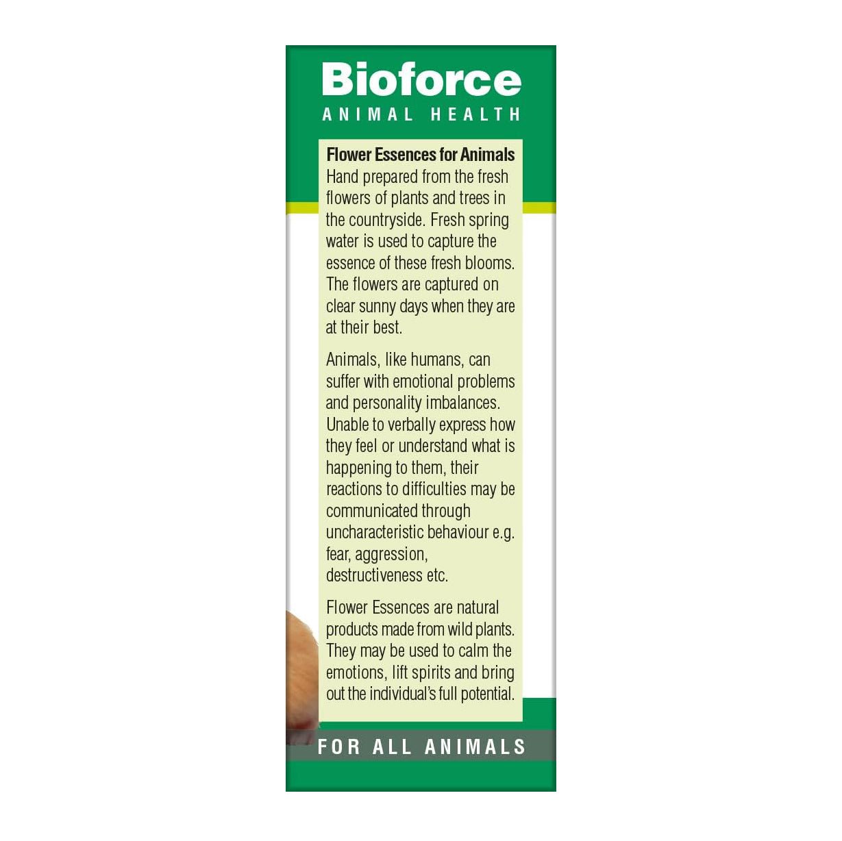 Animal Essence Timid 30ml - BioForce - Animal Essence - Eco Natural Products