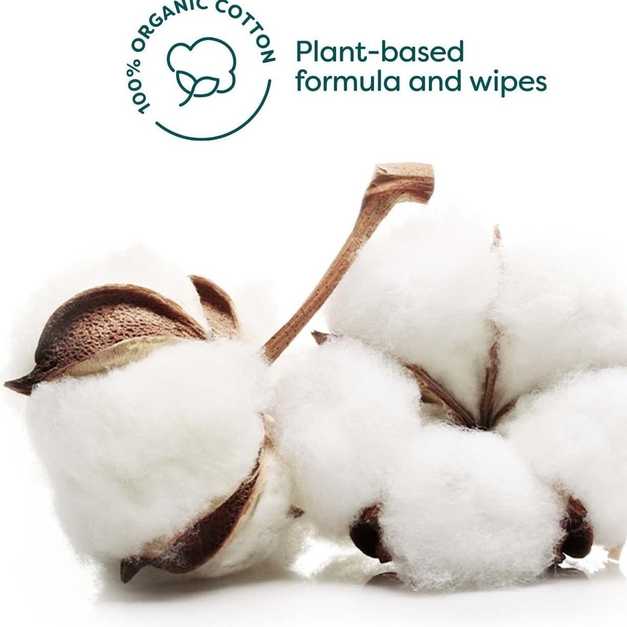 Anti - Ageing Organic Facial Wipes - Rawganic - Face Wipes - Eco Natural Products