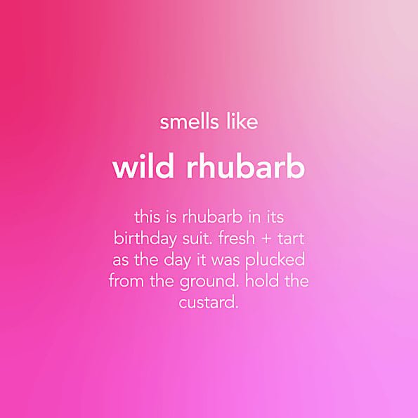 AntiBac Hand Soap Wild Rhubarb 350ml - Method - Hand Soap - Eco Natural Products