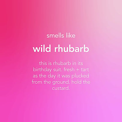 AntiBac Hand Soap Wild Rhubarb 350ml - Method - Hand Soap - Eco Natural Products