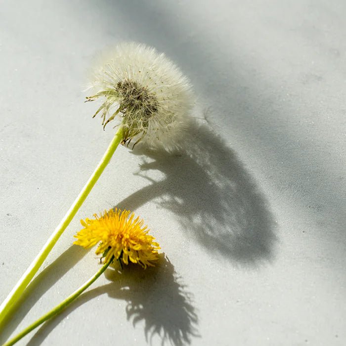 Apple Cider High Strength 60 Tablets - New Nordic - Food Supplement - Eco Natural Products