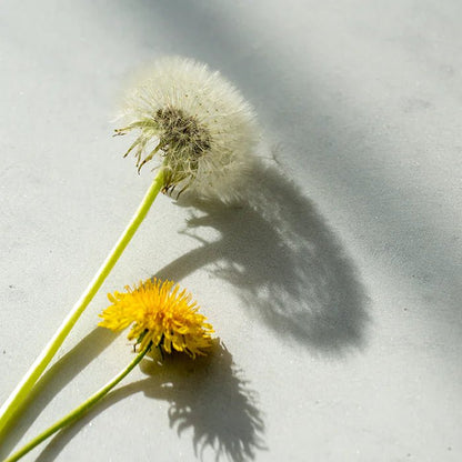 Apple Cider Mega Strength 30 Tablets - New Nordic - Food supplements - Eco Natural Products