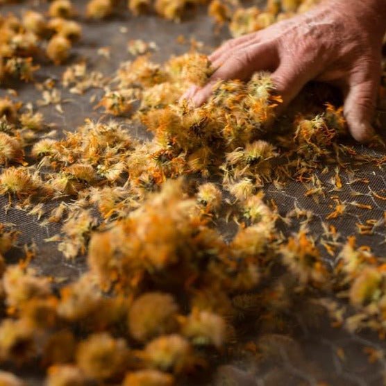 Arnica Muscle Soak 200ml - Weleda - Bath Soak - Eco Natural Products